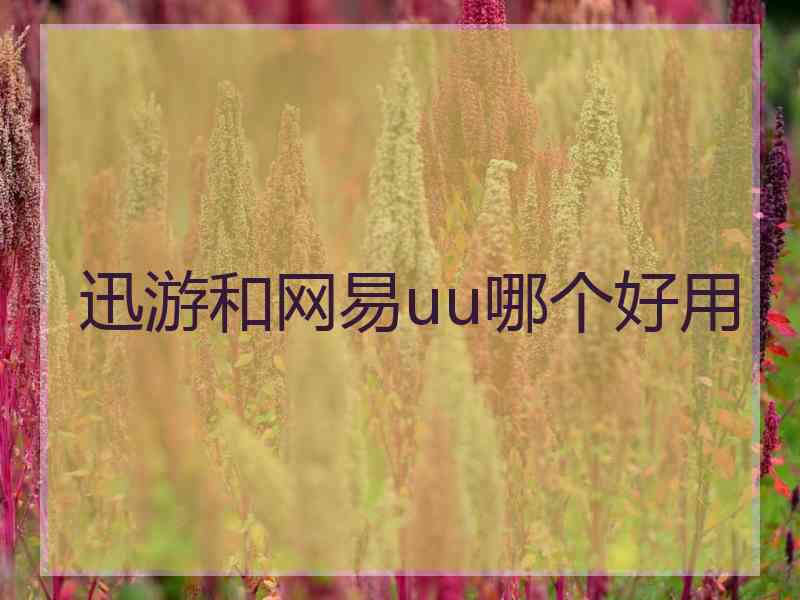 迅游和网易uu哪个好用