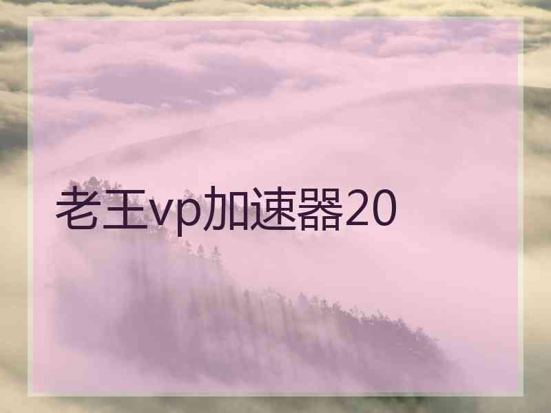 老王vp加速器20