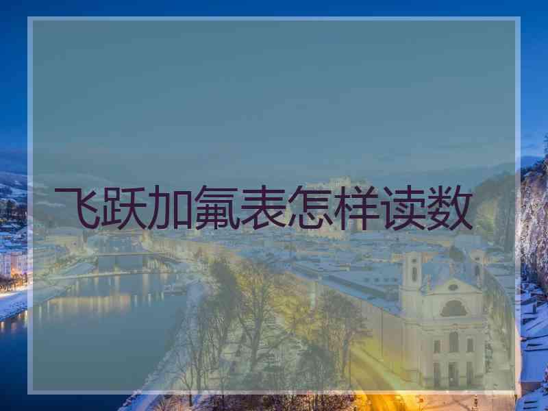 飞跃加氟表怎样读数
