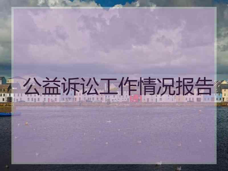 公益诉讼工作情况报告