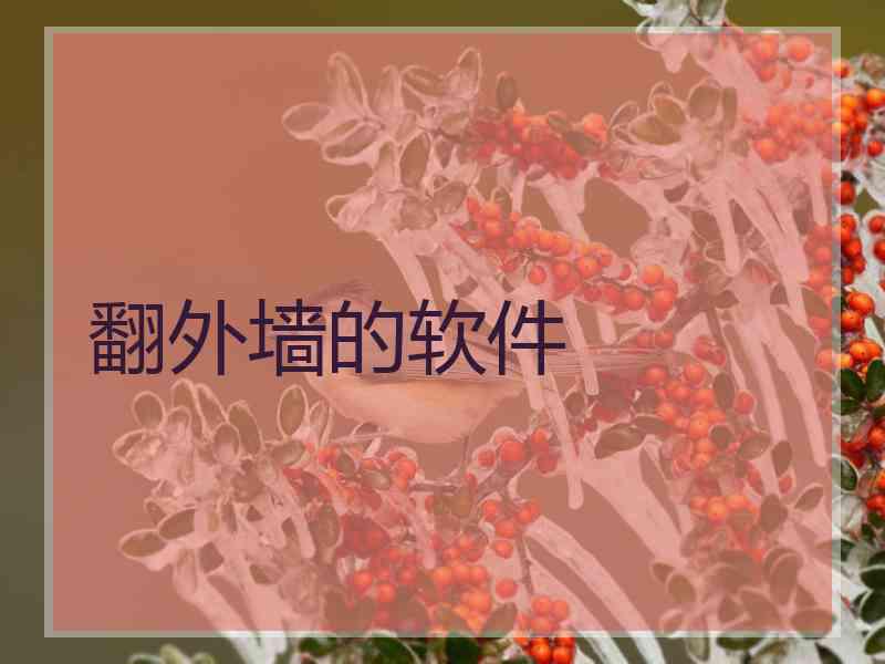翻外墙的软件