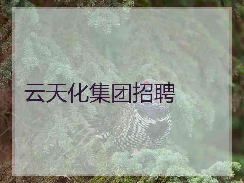 云天化集团招聘