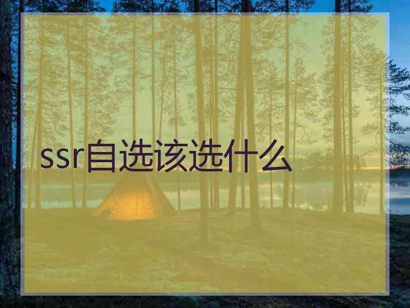 ssr自选该选什么
