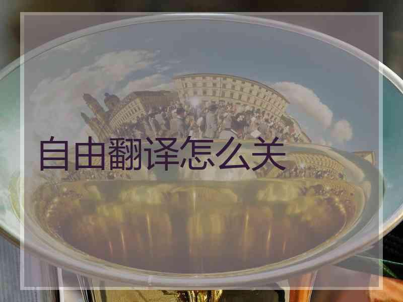 自由翻译怎么关