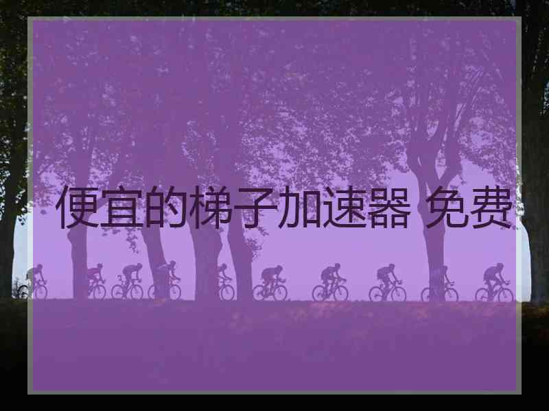 便宜的梯子加速器 免费
