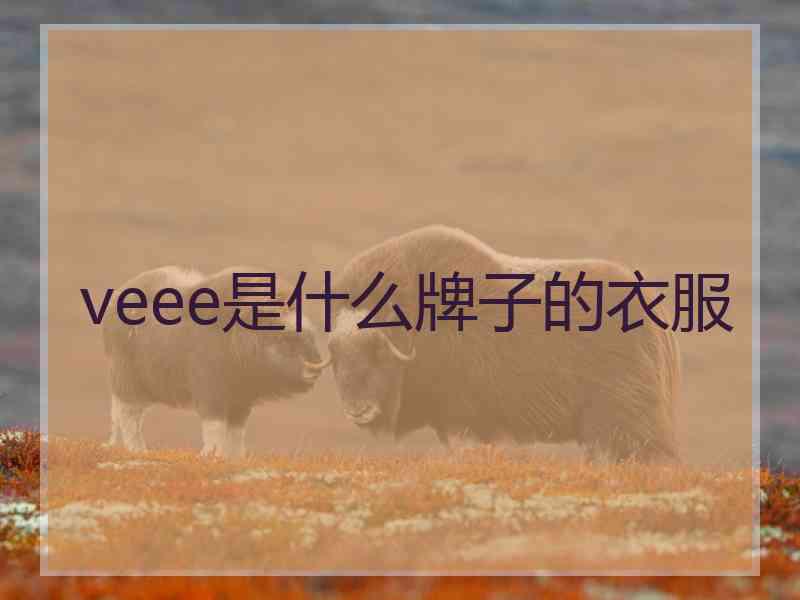 veee是什么牌子的衣服