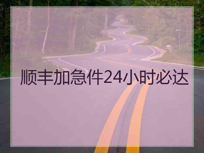 顺丰加急件24小时必达