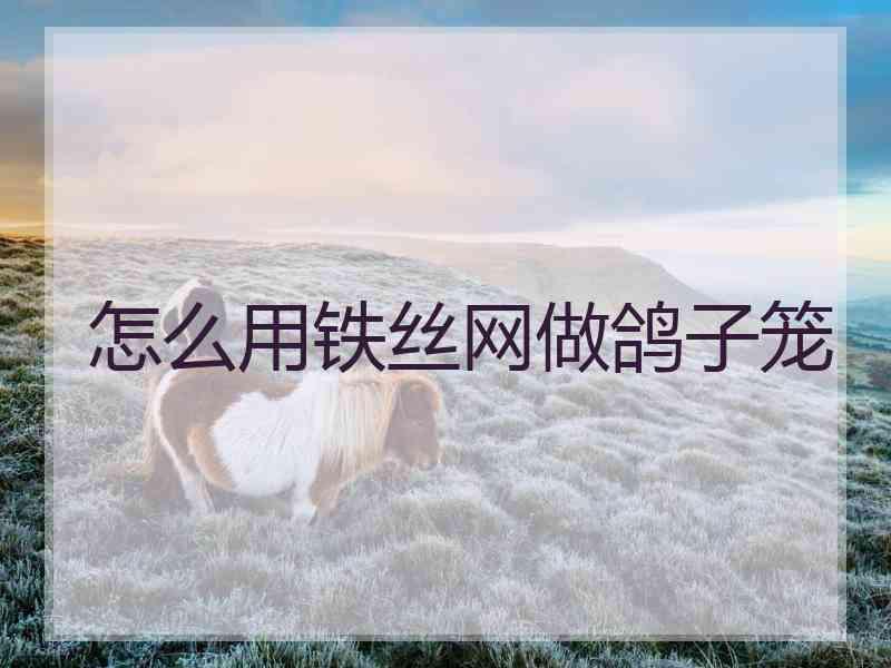 怎么用铁丝网做鸽子笼
