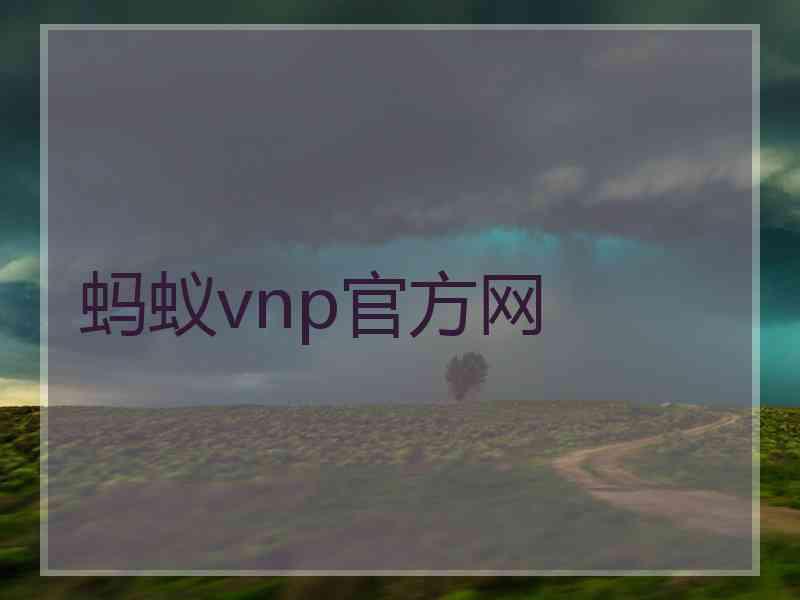 蚂蚁vnp官方网