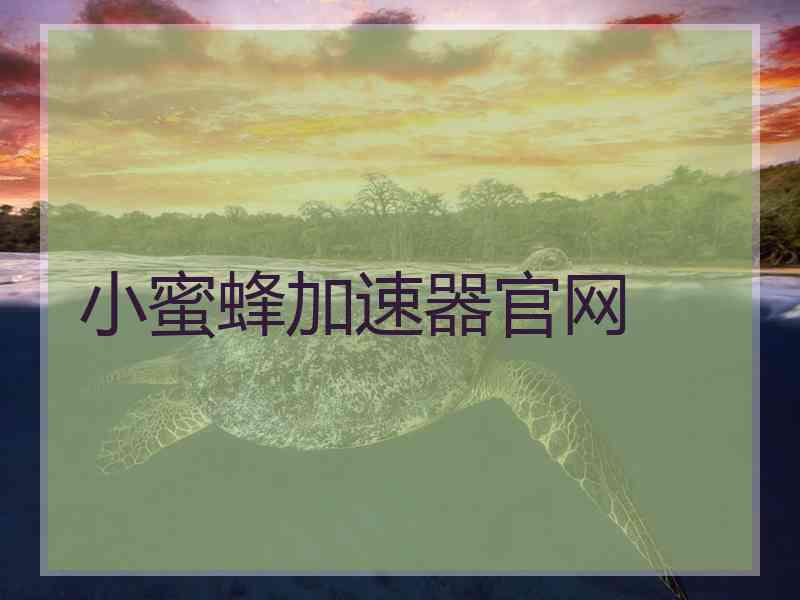 小蜜蜂加速器官网