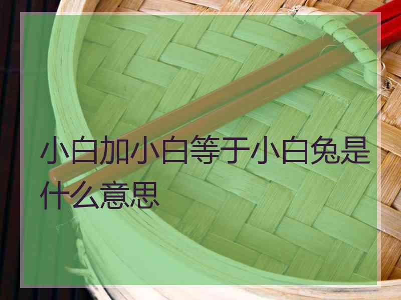 小白加小白等于小白兔是什么意思