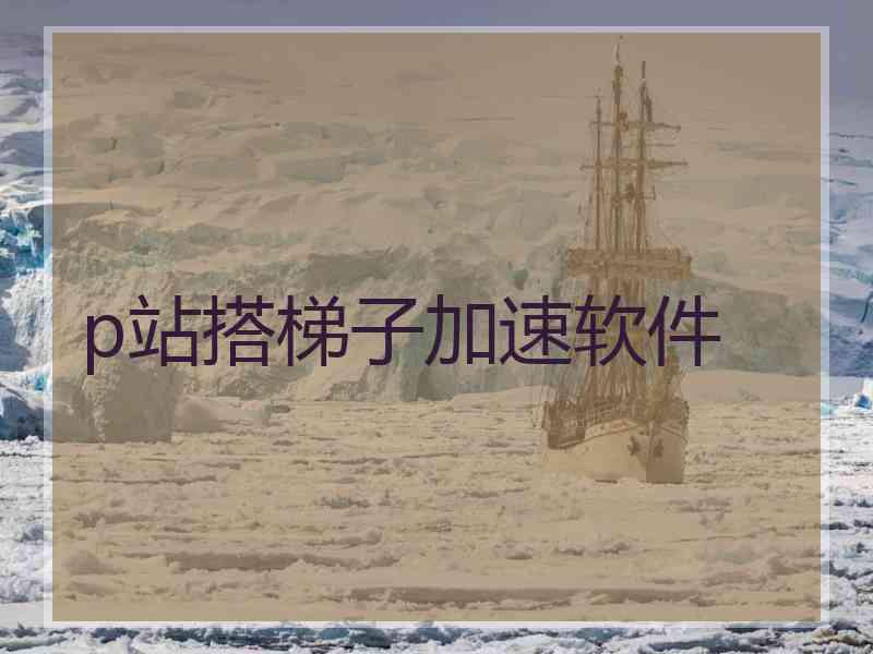 p站搭梯子加速软件