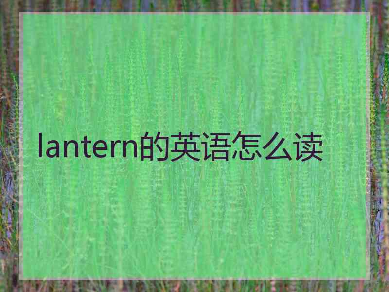 lantern的英语怎么读