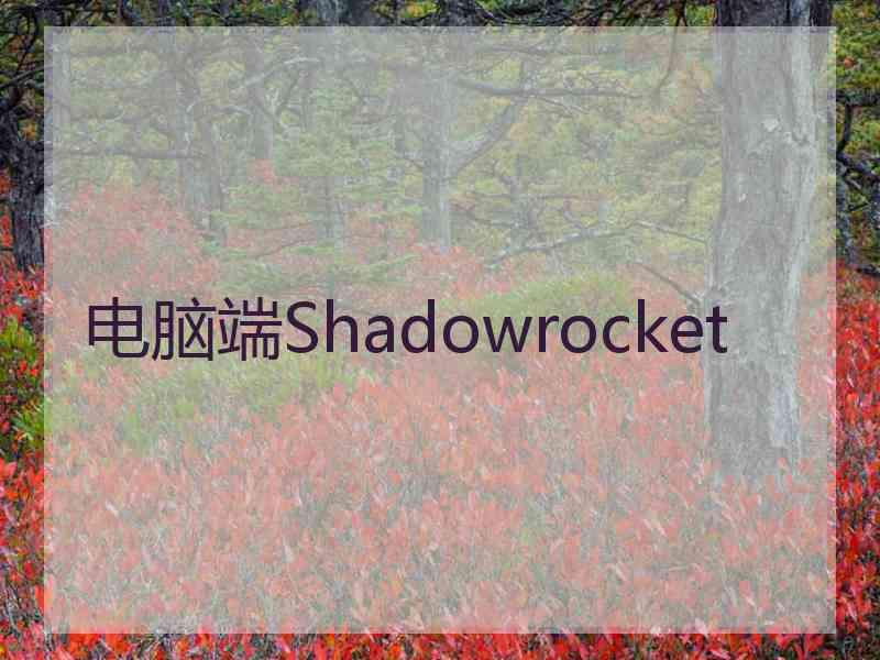 电脑端Shadowrocket