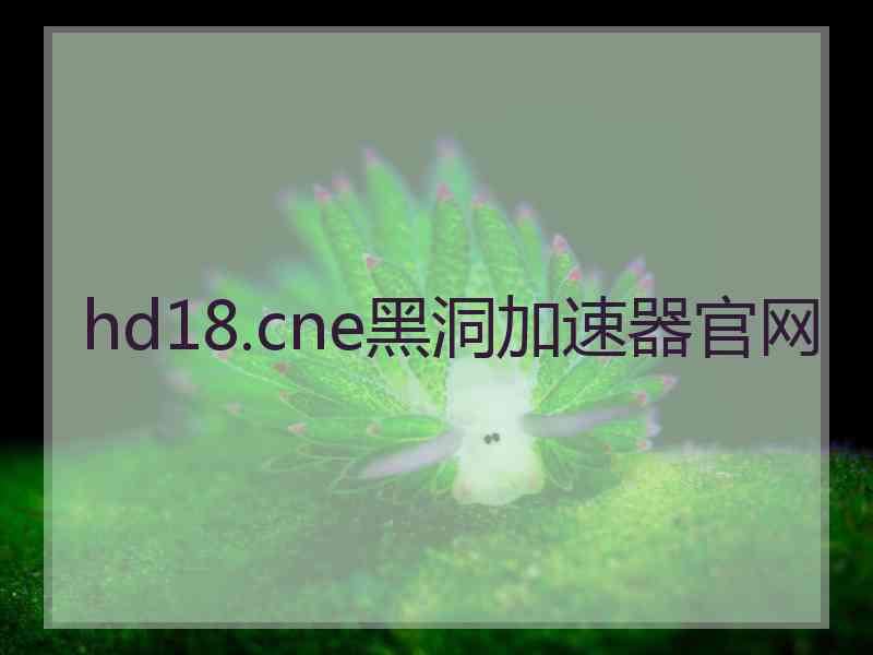 hd18.cne黑洞加速器官网