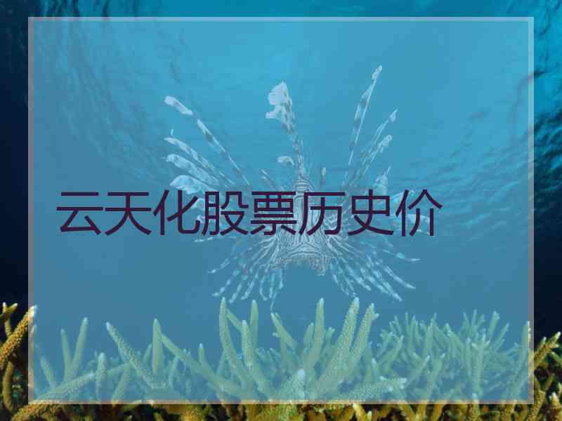 云天化股票历史价
