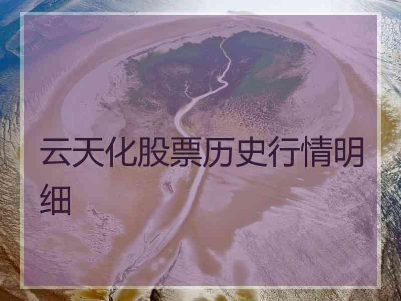 云天化股票历史行情明细