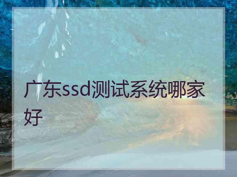广东ssd测试系统哪家好