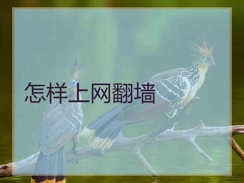 怎样上网翻墙