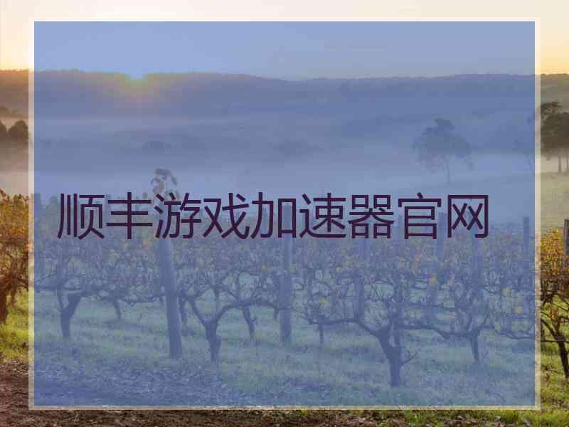 顺丰游戏加速器官网