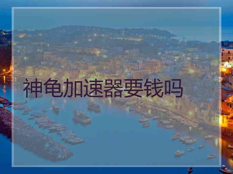 神龟加速器要钱吗
