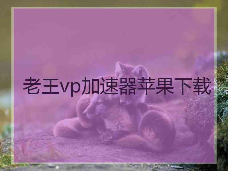 老王vp加速器苹果下载