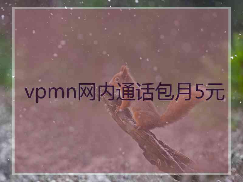 vpmn网内通话包月5元