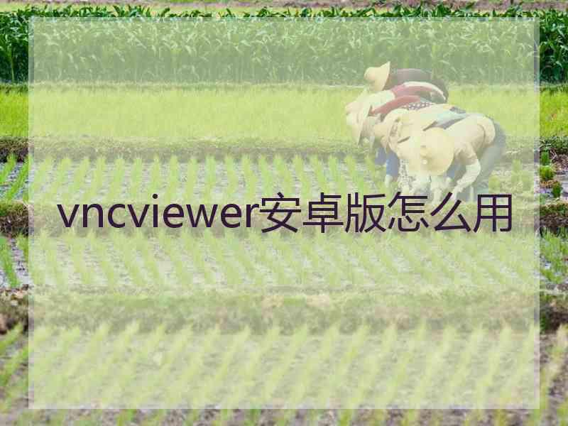 vncviewer安卓版怎么用