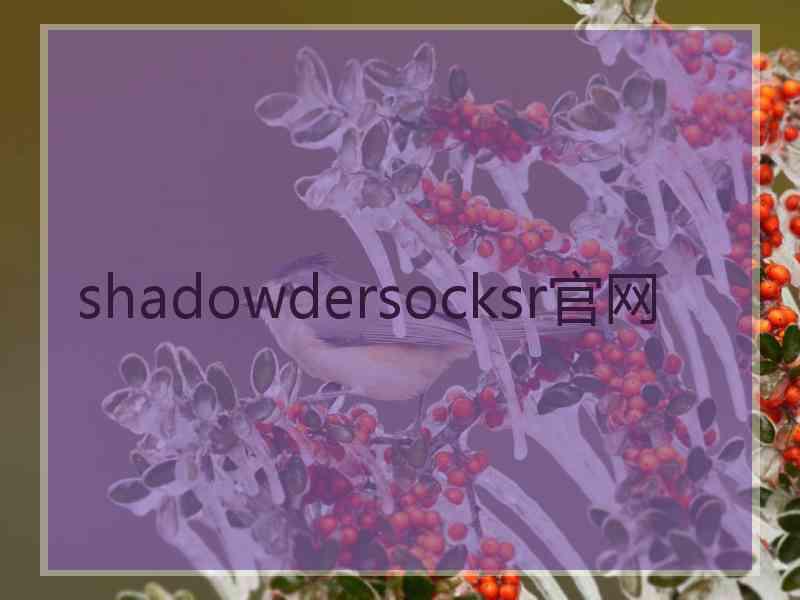 shadowdersocksr官网