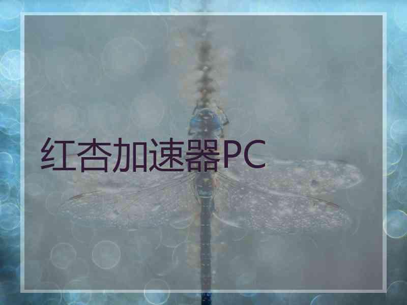 红杏加速器PC