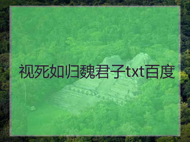 视死如归魏君子txt百度