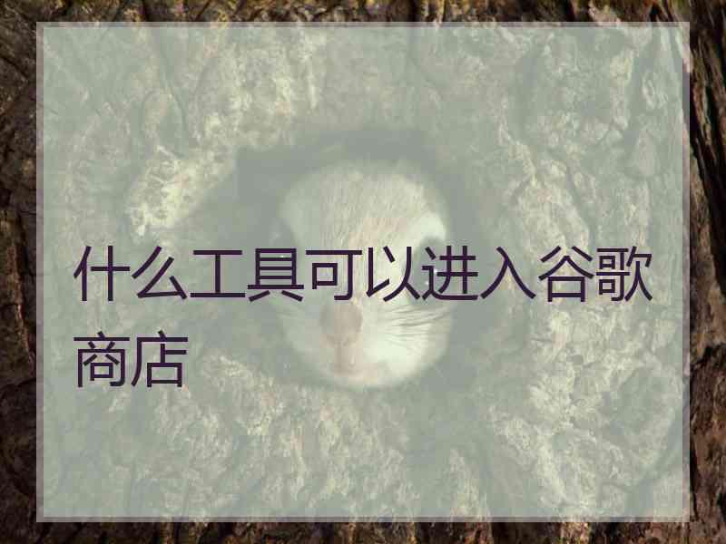 什么工具可以进入谷歌商店