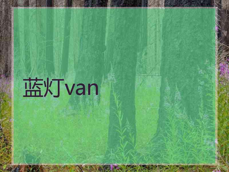 蓝灯van