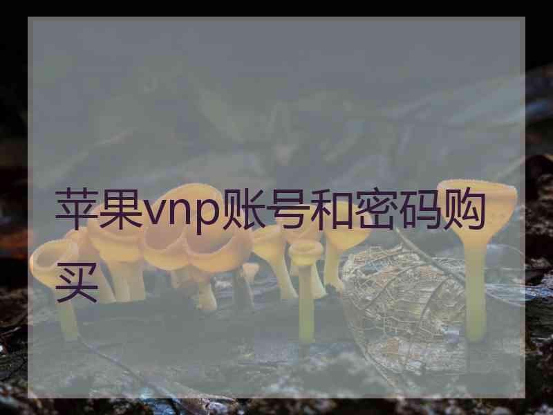 苹果vnp账号和密码购买