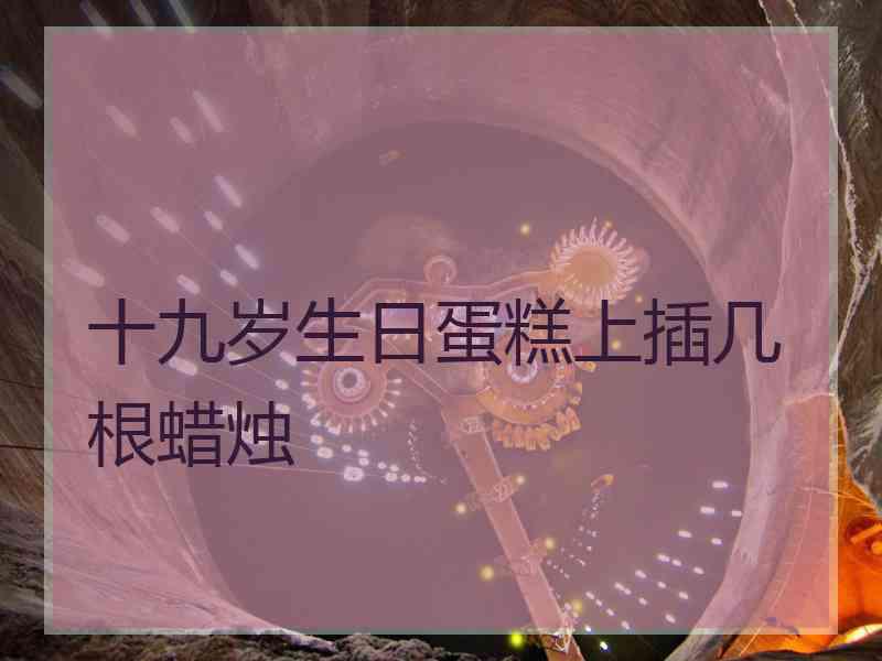 十九岁生日蛋糕上插几根蜡烛