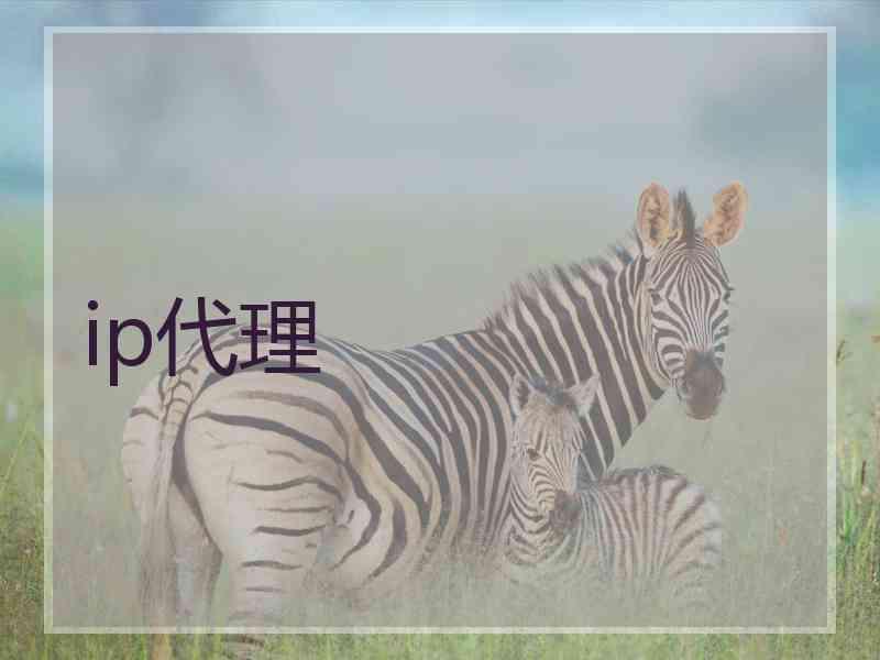 ip代理
