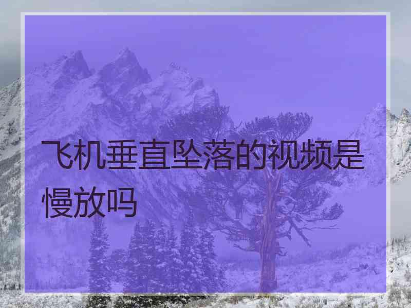 飞机垂直坠落的视频是慢放吗