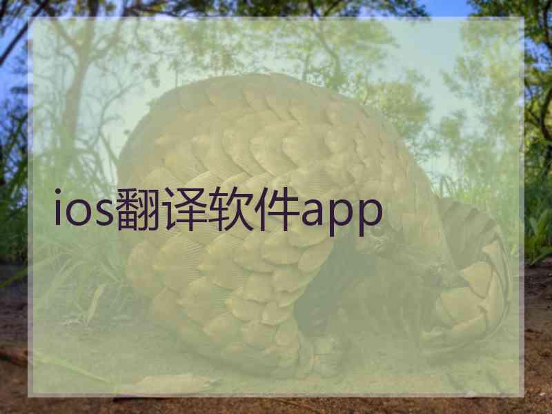 ios翻译软件app