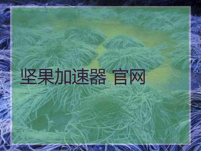 坚果加速器 官网