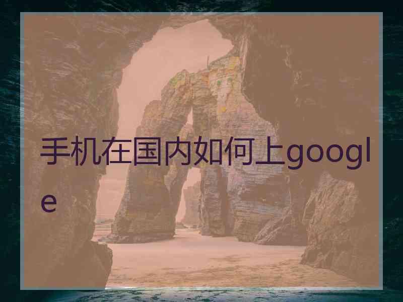 手机在国内如何上google