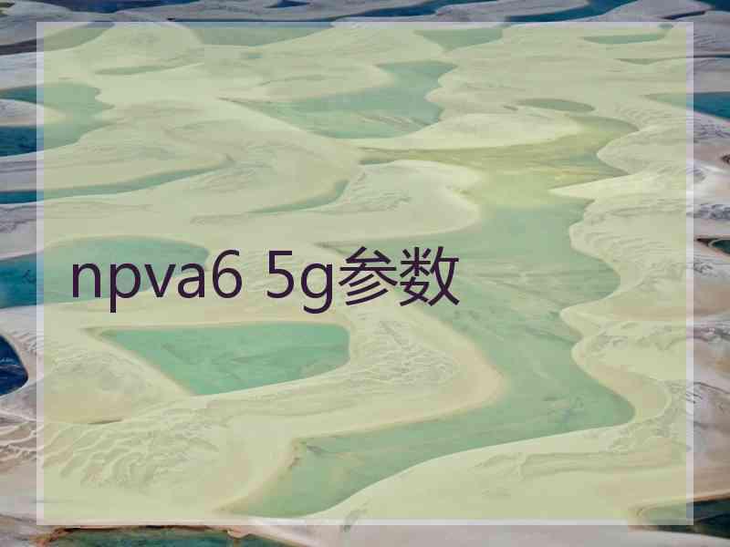 npva6 5g参数
