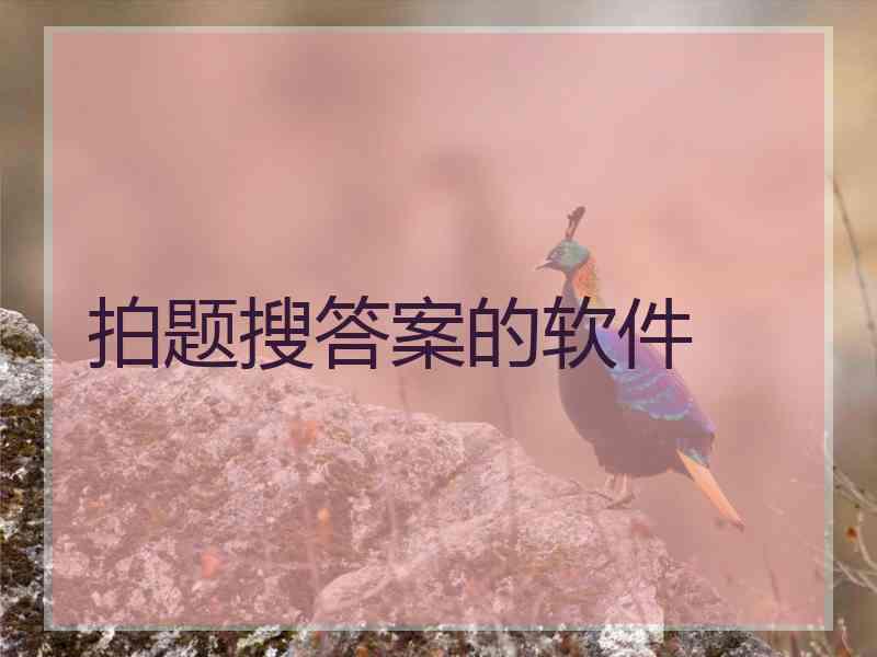 拍题搜答案的软件