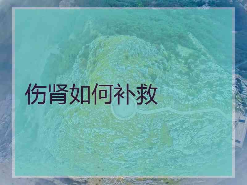 伤肾如何补救