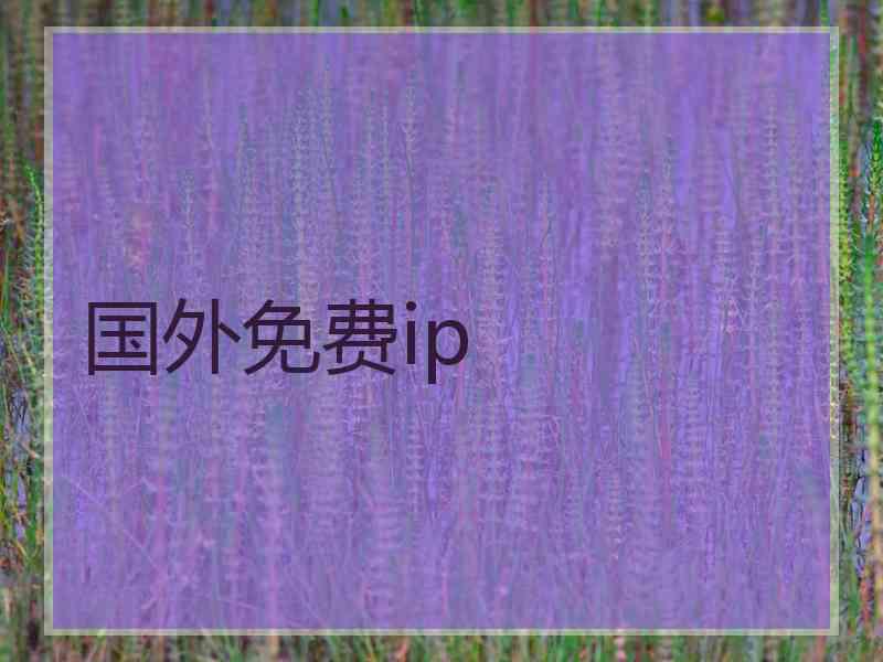 国外免费ip