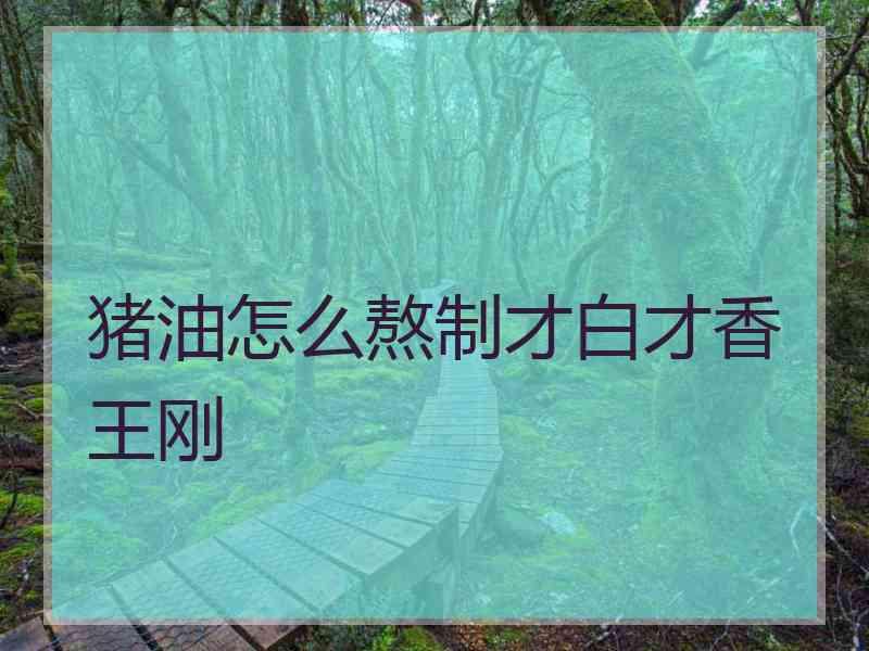 猪油怎么熬制才白才香王刚