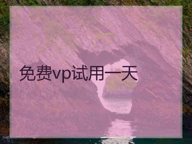免费vp试用一天