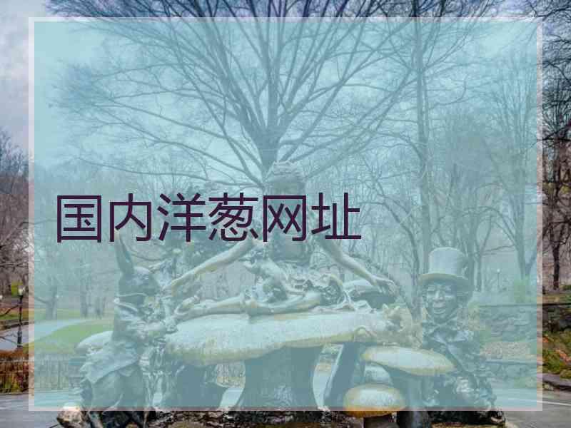 国内洋葱网址