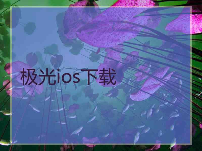 极光ios下载