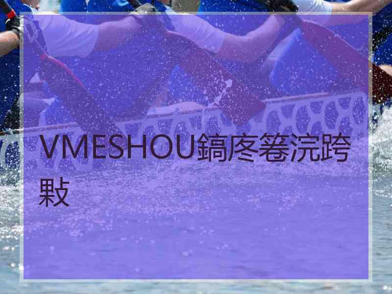 VMESHOU鎬庝箞浣跨敤