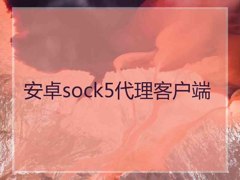 安卓sock5代理客户端